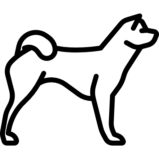 Akita
