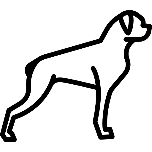 Boxer