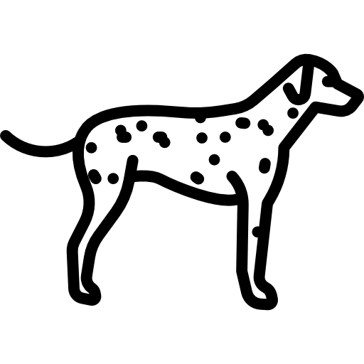 Dalmatian