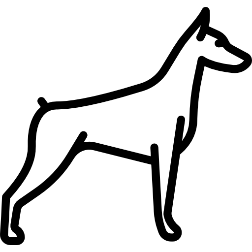 Doberman