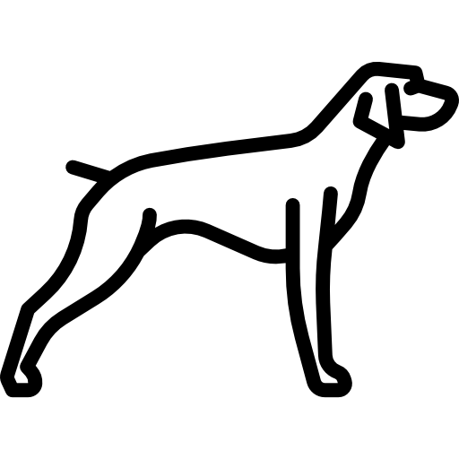 Pointer