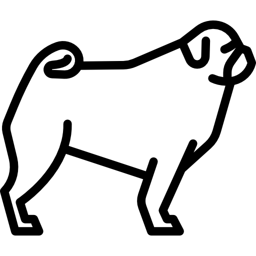 Pug